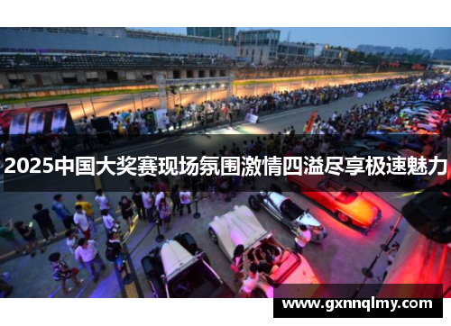 2025中国大奖赛现场氛围激情四溢尽享极速魅力