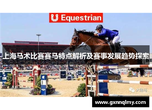 上海马术比赛赛马特点解析及赛事发展趋势探索