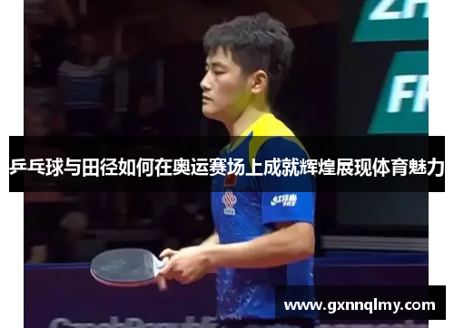 乒乓球与田径如何在奥运赛场上成就辉煌展现体育魅力