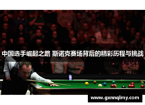 中国选手崛起之路 斯诺克赛场背后的精彩历程与挑战