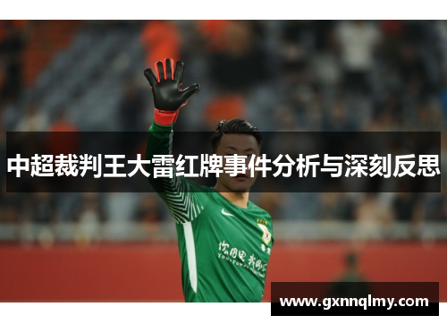 中超裁判王大雷红牌事件分析与深刻反思