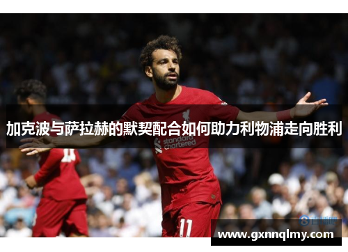 加克波与萨拉赫的默契配合如何助力利物浦走向胜利