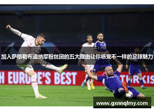 加入萨格勒布迪纳摩粉丝团的五大理由让你感受不一样的足球魅力