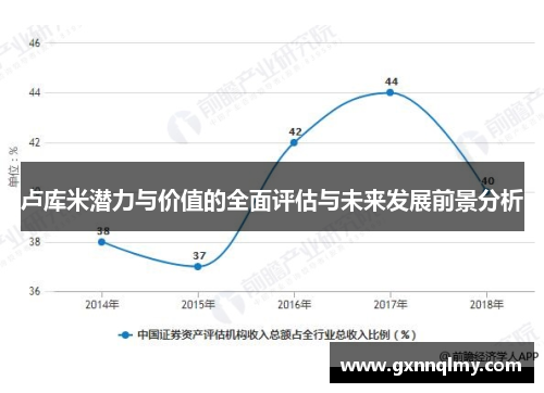 卢库米潜力与价值的全面评估与未来发展前景分析