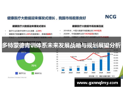 多特蒙德青训体系未来发展战略与规划展望分析