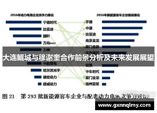大连鲲城与穆谢奎合作前景分析及未来发展展望