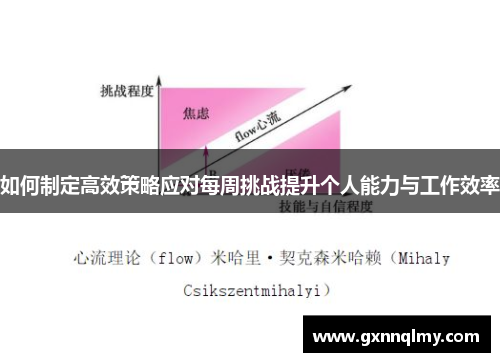 如何制定高效策略应对每周挑战提升个人能力与工作效率