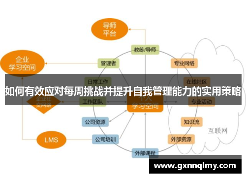 如何有效应对每周挑战并提升自我管理能力的实用策略