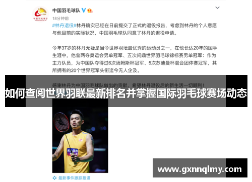 如何查阅世界羽联最新排名并掌握国际羽毛球赛场动态